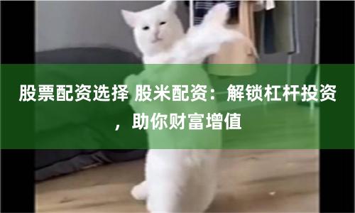 股票配资选择 股米配资：解锁杠杆投资，助你财富增值