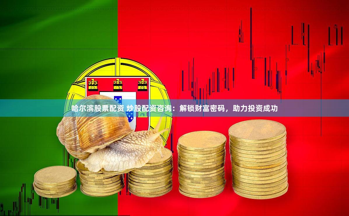 哈尔滨股票配资 炒股配资咨询：解锁财富密码，助力投资成功