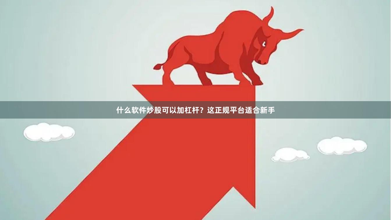 什么软件炒股可以加杠杆？这正规平台适合新手