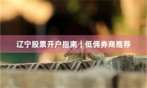 辽宁股票开户指南｜低佣券商推荐